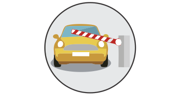 Sistemas de control de accesos vehiculares y peatonales